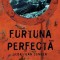 Furtuna Perfecta, Sebastian Junger - Editura Art