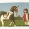 TD2 -Carte Postala- GERMANIA - Kathe Kruse Puppe, necirculata