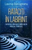 Lavinia Barlogeanu - Rataciti in labirint. Chipuri ale bantuirii si mantuirii