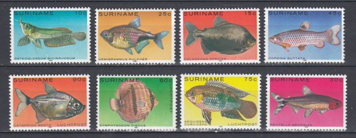 Surinam 1980 - Fauna Marina - PESTI - MNH