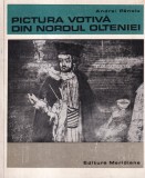 Andrei Panoiu - Pictura votiva din nordul Olteniei