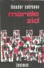 Marele zid - Theodor Codreanu, Editura Junimea 1981, Literatura Romana, Proza, Carte Veche