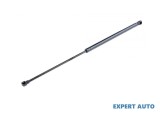 Amortizor capota fata Citroen C4 Grand Picasso (2006-&gt;) [UA_] #1