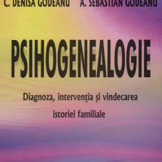 Psihogenealogie | Iolanda Mitrofan, C Denisa Godeanu, A Sebastian Godeanu