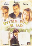 DVD Film: Intre Rai si Iad ( Omar Sharif si Giancarlo Gianini - vezi descriere )
