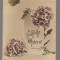 CPIB 23944 - CARTE POSTALA - FELICITARE DE PASTE - FLORI, GERMANIA, CIRCULATA, 1911, STAMPILE, TIMBRU