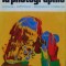 Toute La Photo Graphie - Pierre Montel , C864