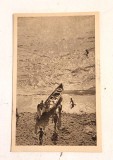 Carte postala / vedere, anii 50 (1955) R.P.R, Eforie - Spre larg, circulata, scrisa, print alb-negru, Printata