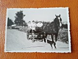 Fotografie Alb Negru Sareta 8.5x6 - Arta Vintage, Colectie
