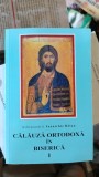 Calauza Ortodoxa in Biserica I - Arhimandrit Ioanichie Balan