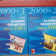 Algebră Geometrie clasa a VIII a I+II Anton Negrilă 2003