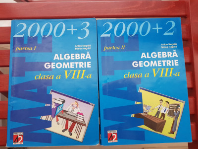 Algebră Geometrie clasa a VIII a I+II Anton Negrilă 2003 foto