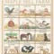 The Year at Maple Hill Farm