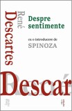 Despre sentimente - Rene Descartes - Editura Cartex