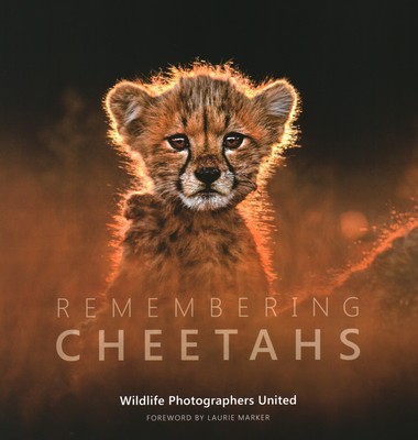 Remembering Cheetahs foto