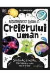 Uimitoarea lume a creierului uman - Liam Drew