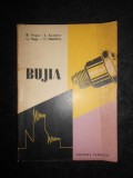 B. Popa, L. Sandor - Bujia