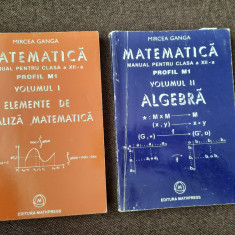 MIRCEA GANGA MATEMATICA MANUAL PENTRU CLASA A XII-A 2 VOLUME 2005