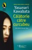 Călătorie către curcubeu - Yasunari Kawabata - Traducere George T. Sipos - Roman Japonez - Beletristica