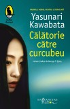 Călătorie către curcubeu - Yasunari Kawabata - Traducere George T. Sipos - Roman Japonez - Beletristica
