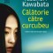 Călătorie către curcubeu - Yasunari Kawabata