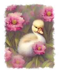 Sticker decorativ, Rata, Galben, 70 cm, 6966ST foto