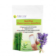 Plasturi pentru detoxifiere cu lavanda 10 buc