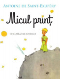 Micul print