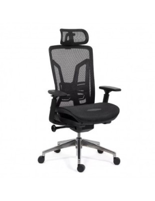 Scaun ergonomic multifunctional SYYT 9506, mesh, suport lombar reglabil, baza metalica, 120 kg foto