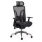 Scaun ergonomic multifunctional SYYT 9506, mesh, suport lombar reglabil, baza metalica, 120 kg