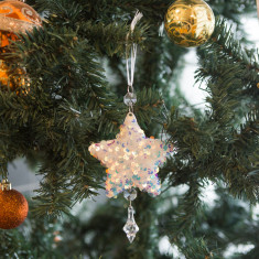 Ornament pentru bradul de Crăciun - stea- irizat, acrilic - cu agățătoare - 2 forme: fulg și stea 58613