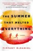 The Summer That Melted Everything, 2016