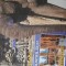 Revista Terra Magazin nr. 6 2001