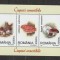 Romania 2003 - #1616A Ciuperci M/S 1v MNH