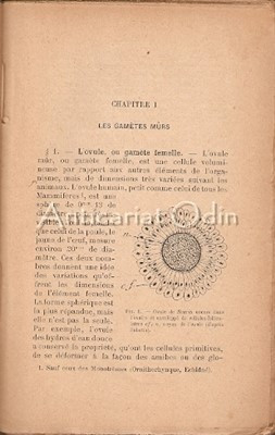 Les Problemes De La Sexualite - Maurice Caullery - 1913 foto