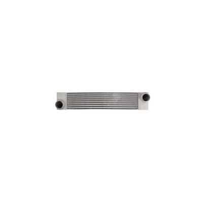 Intercooler LAND ROVER RANGE ROVER III LM AVA Quality Cooling BW4375 foto