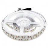 BANDA LED SMD3528 120LED/M 6500K IP20 5M, V-TAC