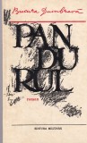 Bucura Dumbrava - Pandurul, Roman istoric, Editura Militara, 1981, 350 pagini, brosat, romana