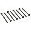 Elring Set surub, chiulasa
