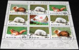 Coreea de Nord (DPR Korea) 1996 &ndash; Rozătoare și animale mici &ndash; Coliță cu 8 timbre + vinietă centrală CTO -A61
