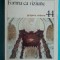 Grigore Arbore &ndash; Forma ca viziune ( colectia Curente si sinteze Nr 44 )