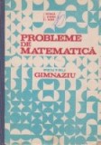 Probleme de matematica pentru gimnaziu (Petrica, Stefan, Alexe)
