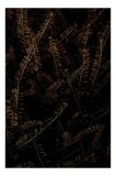 Tablou Canvas, "Frunze uscate &icirc;n &icirc;ntunericul toamnei", Spini, &Icirc;ntuneric, Textură, Natură, Mister, Contrast, Frunziș, Detaliu, Umbre, Complexitate, 26