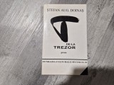 T de la Trezor de Stefan Aug.Doinas