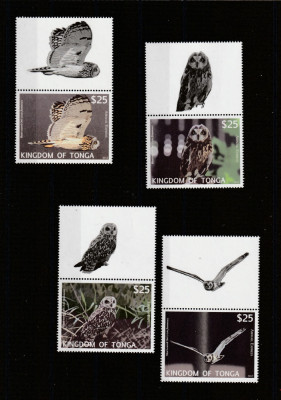 Tonga 2012-Fauna,Bufnite,serie (prima parte) 4 val.cu vignete,MNH,Mi.1793-1796 foto