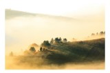Tablou Canvas Peisaj Ceață Natura Mister Verdeață Calm, 39 x 26 cm, CMCLASS