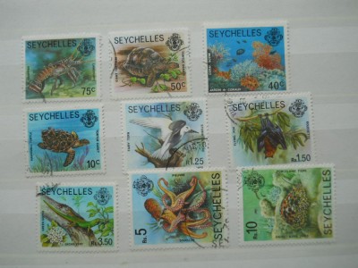 SEYCHELLES FAUNA MARINA foto