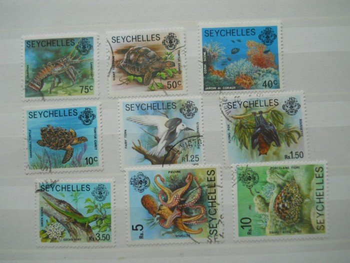 SEYCHELLES FAUNA MARINA