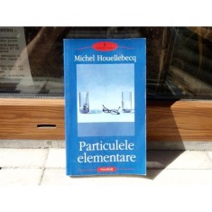 Particulele elementare , Michel Houellebecq , 2006