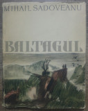 Baltagul - Mihail Sadoveanu/ ilustratii Stefan Constantinescu, Victor Eftimiu